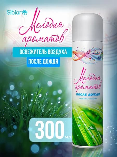 Освежитель воздуха Мелодия ароматов После дождя, для дома и туалета 300мл.