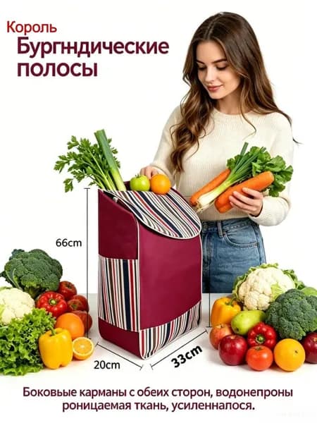Сумка тележка