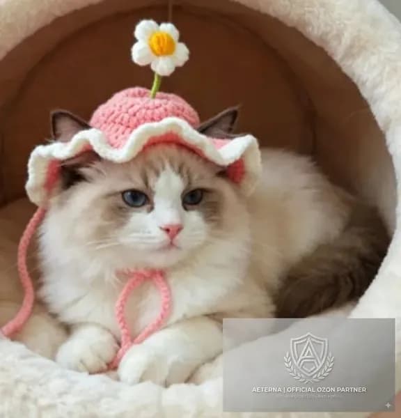 Модная вязаная шапка для домашних животных - стильный аксессуар для вашего питомца