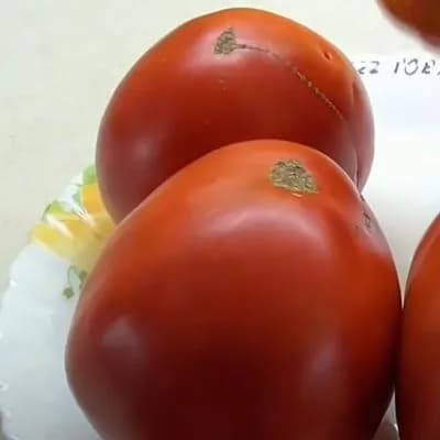 Коллекционные семена томата Говядина с куста