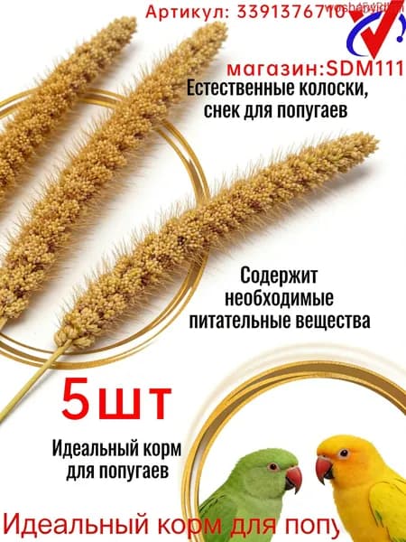 Чумиза для попугаев 5 шт. сенегальское просо лакомство игрушка для птиц и грызунов , урожай 2025 года - КОПОШИЛКА бренд от производителя