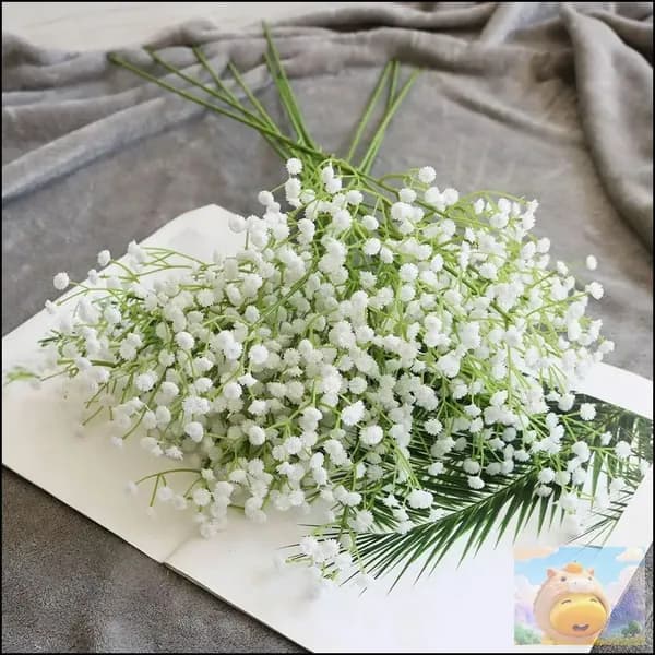 Стабилизированные цветы Гипсофила, 64 см, 1 шт