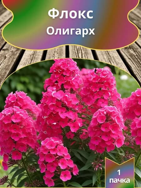 Флокс Олигарх , семена 10 шт.