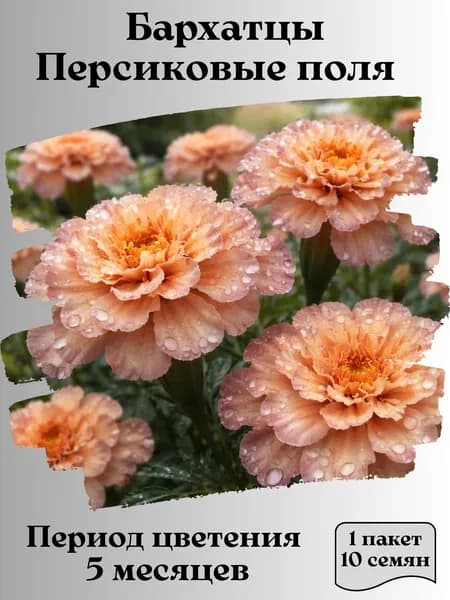 Бархатцы Персиковые поля, семена, 10 шт.