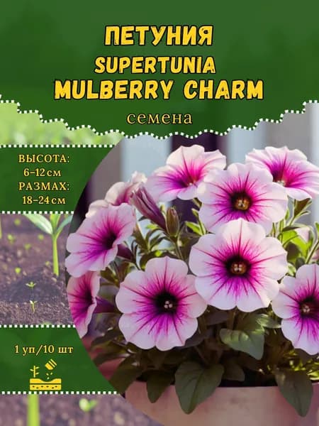 Петуния "Supertunia Mulberry Charm" семена, 1 пачка