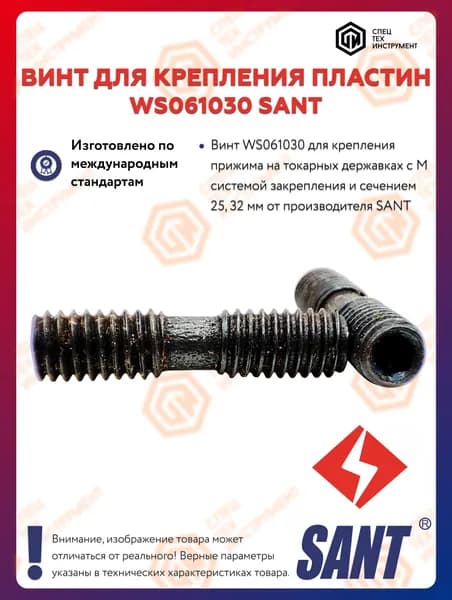 Винт WS061030 SANT