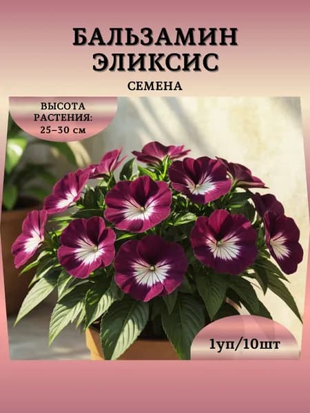 Бальзамин "Эликсис" семена, 1 пачка