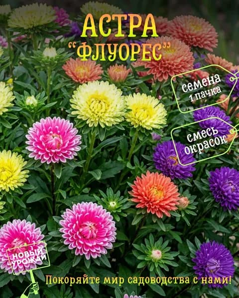 Астра Флуорес, смесь, семена, 10 шт.
