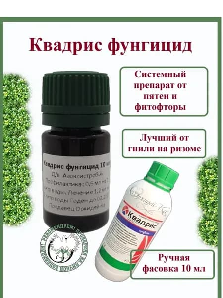 Квадрис 10 мл фунгицид (ручная фасовка)