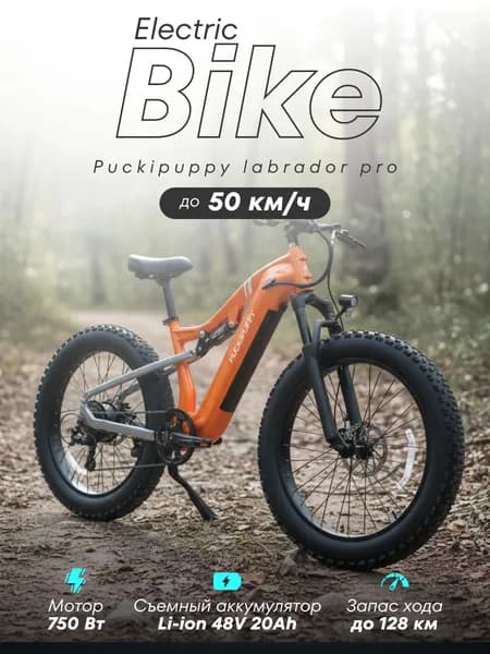 Электровелосипед Puckipuppy Labrador Pro 750вт