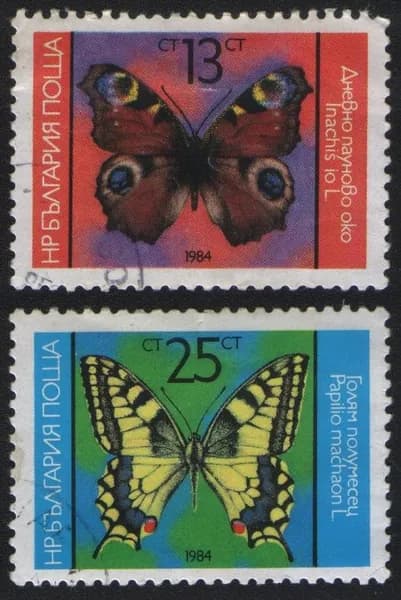 Болгария 1984 Бабочки, 2 марки (гашение)