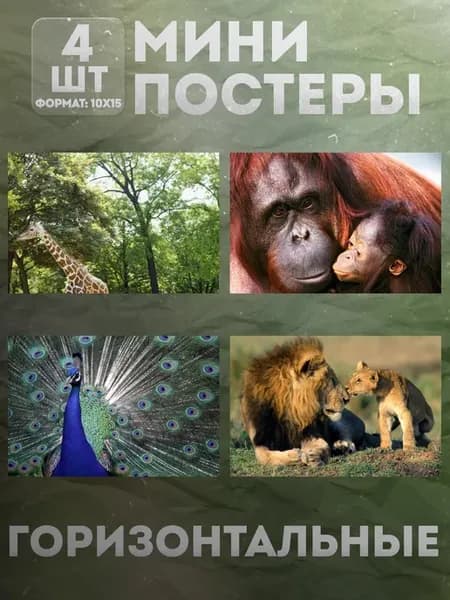 Мини постеры 10 на 15 (набор) «Животные» 4 шт