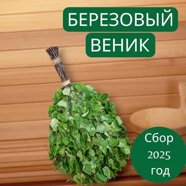 Веник для бани Березовый, 1 шт.