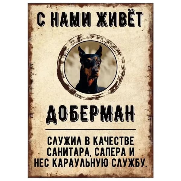 Табличка, декоративная, DANGER DOG, С нами живет Доберман, 20x30cm