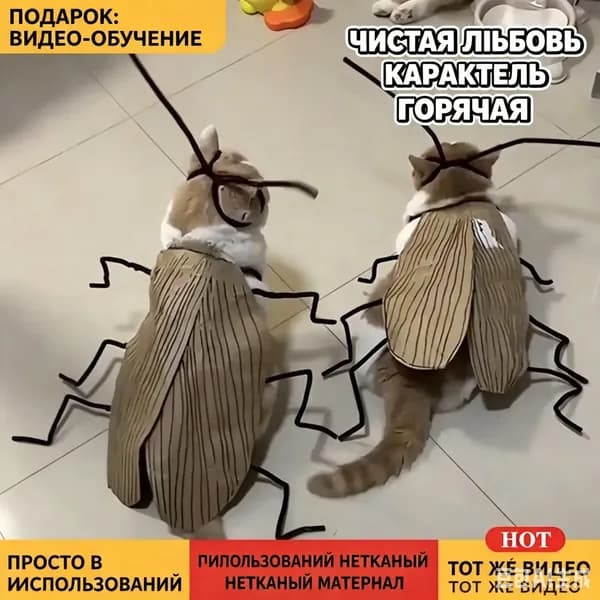 Стильная одежда для кошек - уютные и модные наряды для вашего питомца