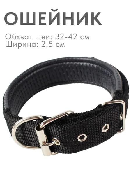 Ошейник