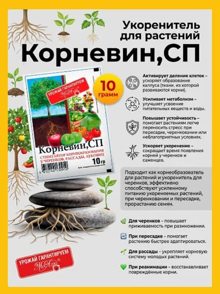 Корневин. Регуляторы роста растений., 10 грамм. Дата изготовления на кромке пакета.