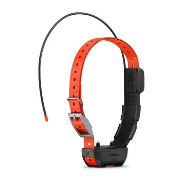 GPS-трекер Garmin Alpha TT 25 Dog Tracking And Training Collar с картой Дороги России