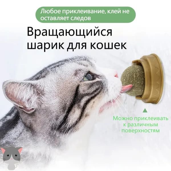 Мятные шарики для кошек с лакомством