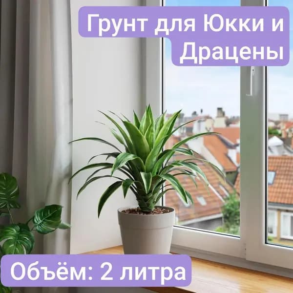 Авторский грунт для Юкки и Драцены 2 литра