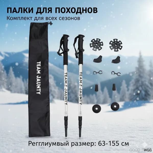 Лыжные палки