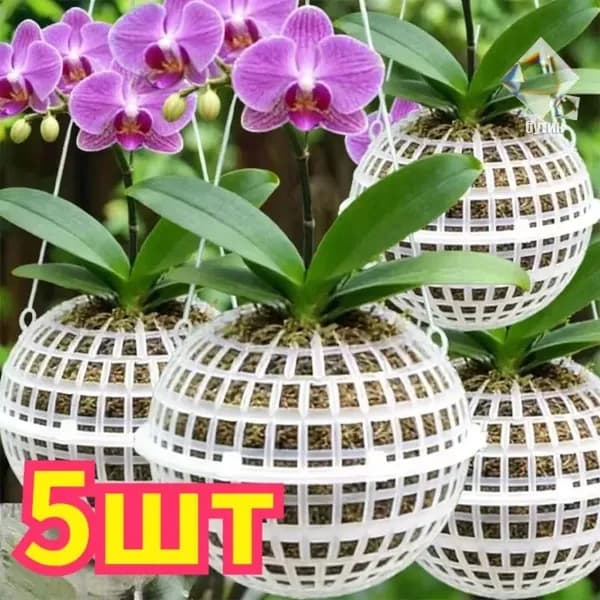 Кашпо, 5 шт, цвет белый