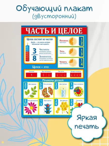 Школьные плакаты для детей обучающие "Часть и целое" для начальной школы и детского сада 1 шт. А2