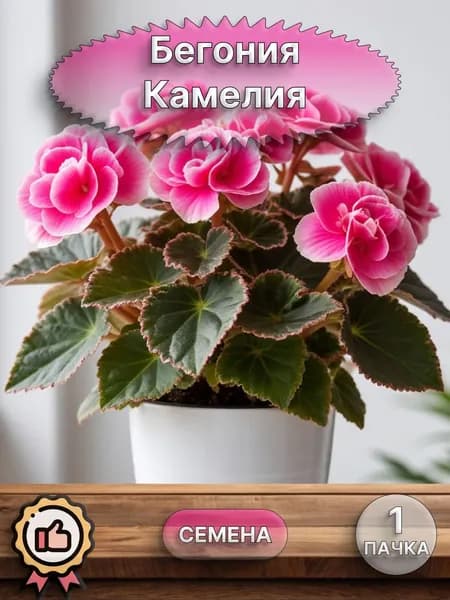 Бегония Камелия (семена)