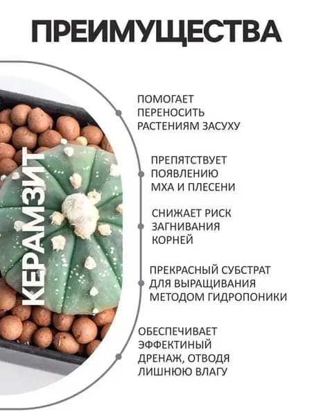 Дренажный керамзит для растений и почвы