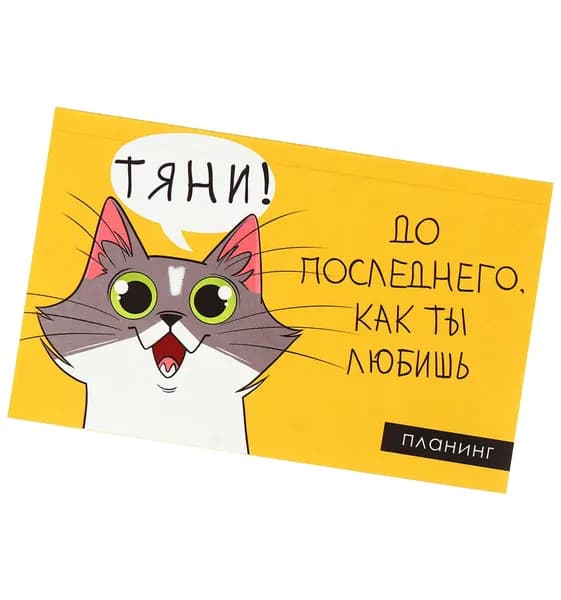 Планинг недатированный "Планер трудоголика" на склейке в мягкой обложке, планировщик-ежедневник для заметок и записей, записная книжка, формат A6, 50 листов