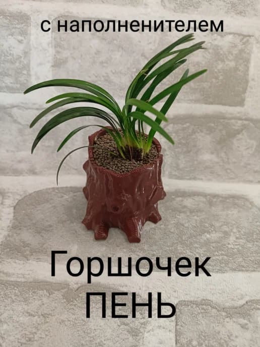 Горшочек для аквариума ПЕНЬ с грунтом