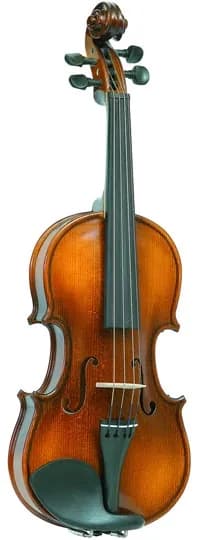 Скрипка Vasile Gliga B-V014