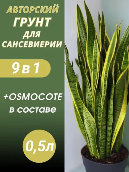 Грунт для Сансевиерии 0.5л готовый