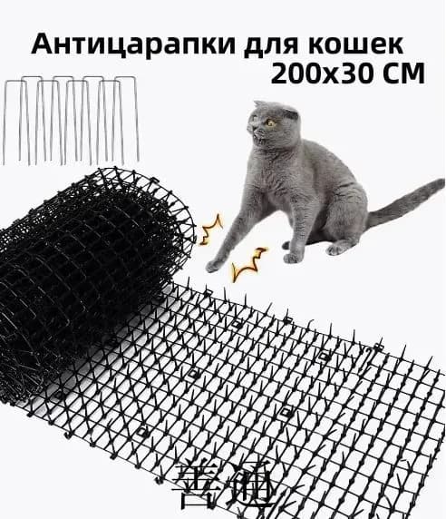 Корректор поведения для животных