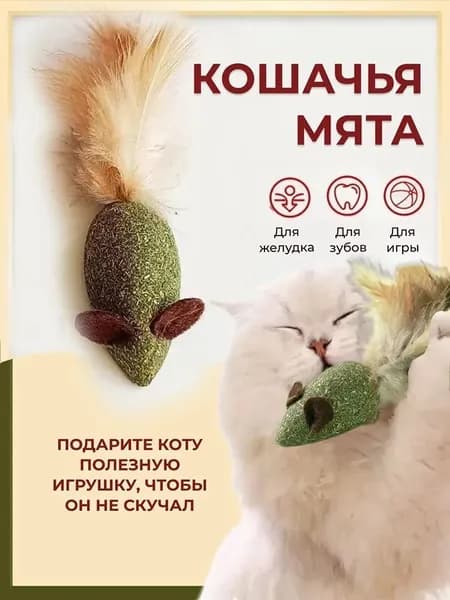 Кошачья мята