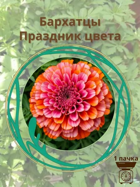 Бархатцы Праздник цвета 10 шт. семян