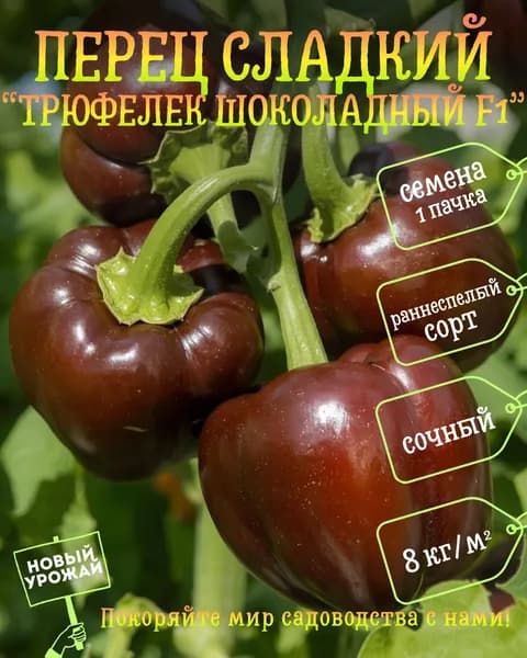 Перец сладкий Трюфелек шоколадный F1, семена, 10 шт.