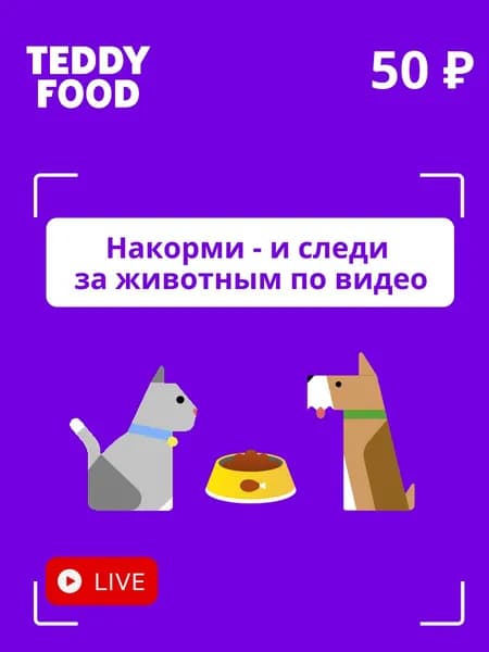 Благотворительный сертификат Teddy Food