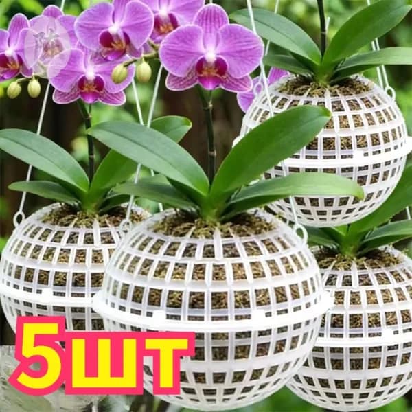 Кашпо, 5 шт, цвет белый