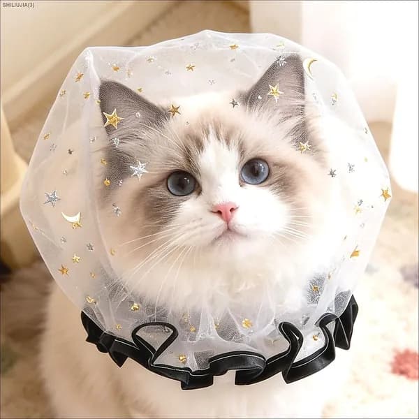 намордник для собак и кошкаот подбирания