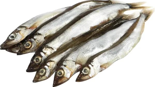 Мойва ЛЕНТА FRESH непотрошеная с головой (из замороженного сырья), весовая - 3 кг
