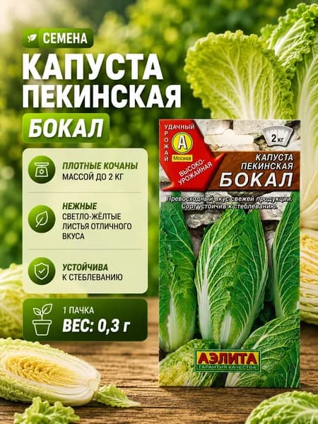 пекинская капуста Бокал семена