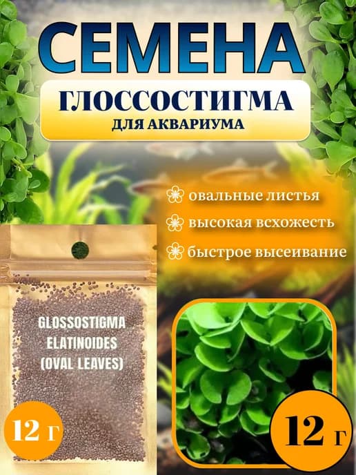 Семена растений для аквариума "Glossostigma elatinoides"