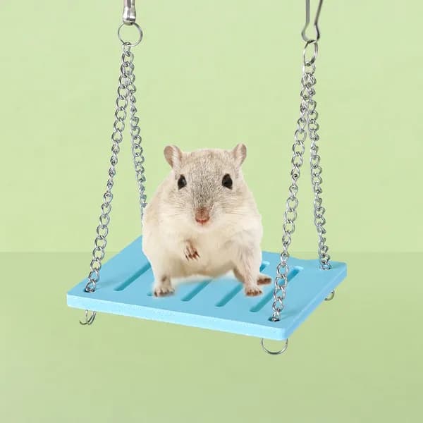 Pet Спорт Упражнение Игрушки Набор