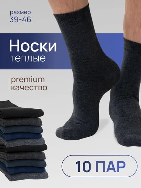 Носки мужские 8CY6OKC87Q, 10 пар