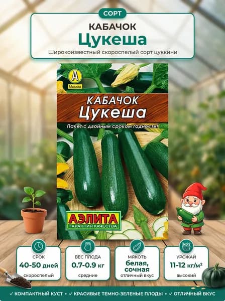 Семена Кабачок цуккини Цукеша 10шт семян