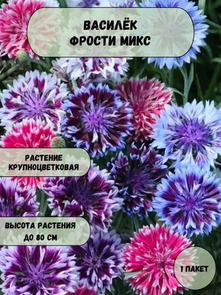 Василёк Фрости микс, семена 10 шт