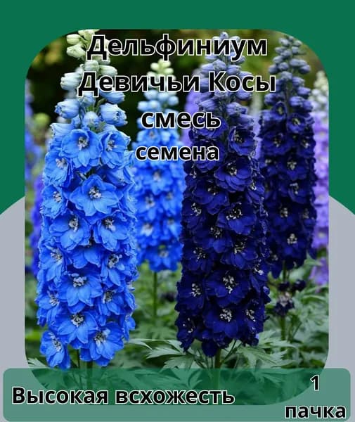 Дельфиниум девичьи косы,семена 10шт