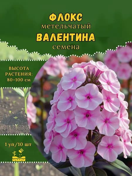Флокс "Валентина" семена, 1 пачка