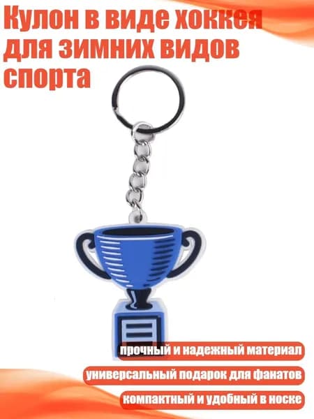 Аксессуары для хоккея